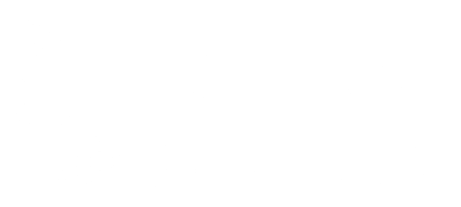 5 Seas Consultants